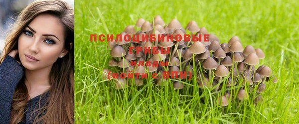 кокс Волоколамск