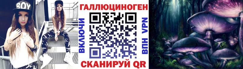 купить  сайты  Железногорск  Псилоцибиновые грибы GOLDEN TEACHER 