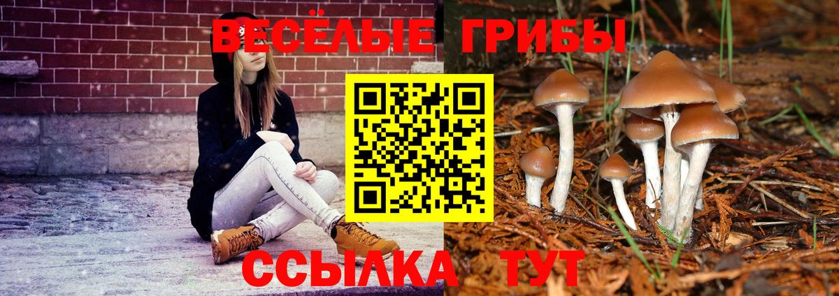 Псилоцибиновые грибы Cubensis  Вход с VPN  Железногорск  Псилоцибиновые грибы ЛСД 